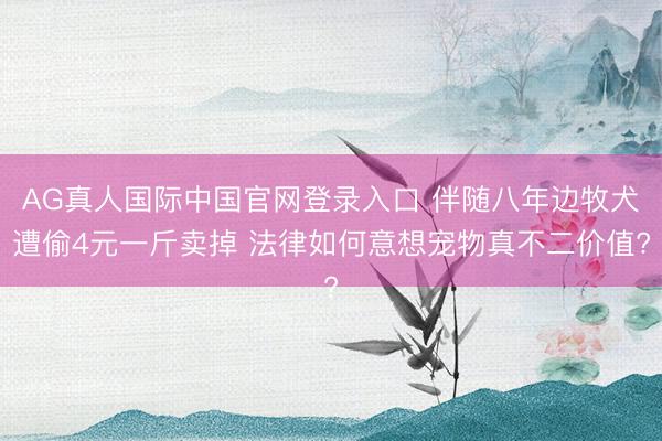 AG真人国际中国官网登录入口 伴随八年边牧犬遭偷4元一斤卖掉 法律如何意想宠物真不二价值?