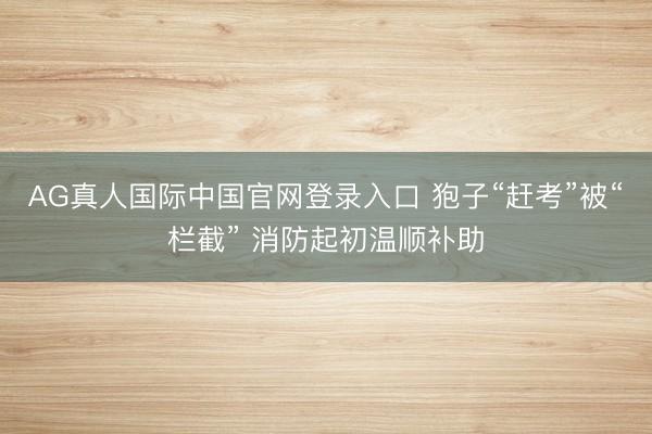 AG真人国际中国官网登录入口 狍子“赶考”被“栏截” 消防起初温顺补助