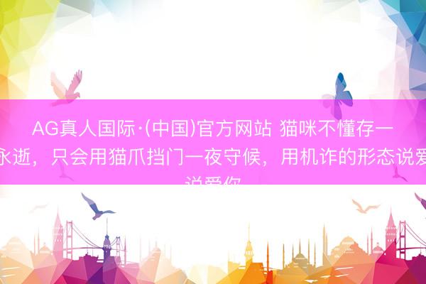 AG真人国际·(中国)官方网站 猫咪不懂存一火永逝，只会用猫爪挡门一夜守候，用机诈的形态说爱你