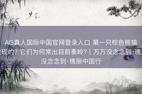 AG真人国际中国官网登录入口 第一只棕色熊猫是怎么发现的? 它们为何常出目前秦岭?｜万万没念念到·瑰丽中国行