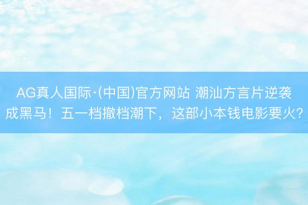 AG真人国际·(中国)官方网站 潮汕方言片逆袭成黑马！五一档撤档潮下，这部小本钱电影要火？
