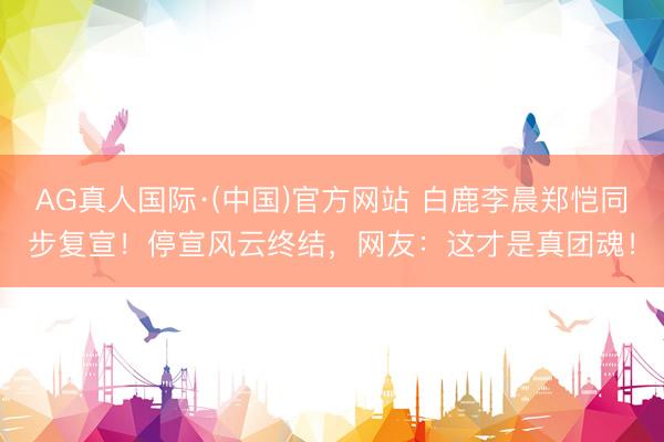 AG真人国际·(中国)官方网站 白鹿李晨郑恺同步复宣!停宣风云终结,网友:这才是真团魂!