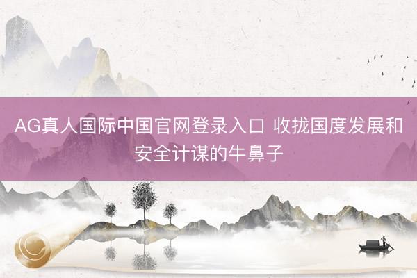AG真人国际中国官网登录入口 收拢国度发展和安全计谋的牛鼻子